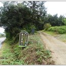 수원-1667 이미지