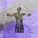 펄핏스튜디오 이미지