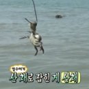 명수타운 이미지