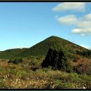 동광리-12 이미지