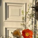 경기대로652번길 이미지