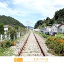 흥전1리 이미지