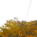 달이야기민박 이미지