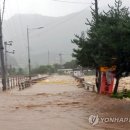 충주대소원가구