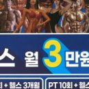 이지피티스튜디오 이미지