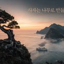 미라문씨 민박 | 사자는 나무로 만들어도 된다