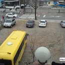 지박사막국수(무실점) 이미지