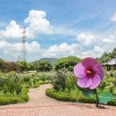 고산자연휴양림 캐라반 입구 이미지