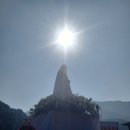 2024.10.12천진암성지,파티마성모님발현 107주년기념과 한반도평화통일기원미사 50주년.전국행사 이미지