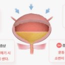 순백의원 이미지