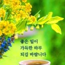 행복꽃 이미지