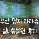 투투미디어 | 부산 명지 라라쥬 실내동물원｜아기랑 체험·방문 후기