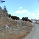 중장리보건진료소 이미지