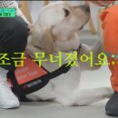 토백이