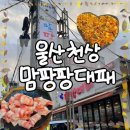 맘팡팡대패