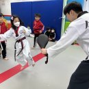 소나무향기태권도 이미지