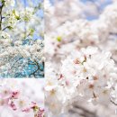 여기산공원 사거리 이미지