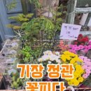 꽃;피다 이미지
