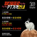 프로피티 이미지