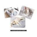 (주)펫그라운드 이미지