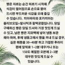 미쓰부산 이미지