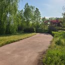 금와습지 생태공원 이미지