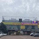 첫 테니스 체험 용인 보헤미안테니스라운지 후기