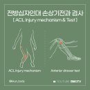 껀바디(kkunbody) 이미지