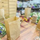 꽃이야 나무야 파주 이미지