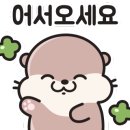 보담김밥