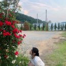 몽트커피