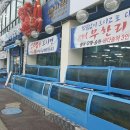 여자수산 이미지