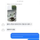 네네앤봉구스 전북대덕진점 | 여름 맛