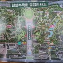 도심속 숲길 | [한밭수목원] 대전 도심 속 숲길 힐링 산책 후기 / 열대식물원 &amp; 천연기념물센터