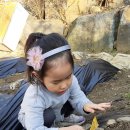 세곡농장 이미지