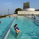 345렌트카 | 7살 아이와 함께하는 후쿠오카여행 2 _ 후쿠오카 렌트카여행, 카멜리아호, 후쿠오카 배편,아프리칸...
