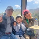 청산야영장 Daum카페