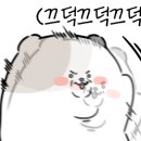 모정칼국수 이미지