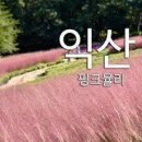 익산 가볼만한곳 중앙체육공원 신흥근린 공원 익산 핑크뮬리 여행 이미지