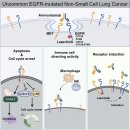 (주)바이오리브 이미지