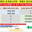 대운시스템 이미지
