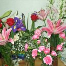 일직초교 이미지