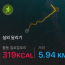 캠프 | 리얼다이어트캠프 후기 3 - 운동 프로그램 🏋️‍♀️