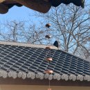 스테이 별채 이미지