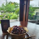 사파동221 이미지