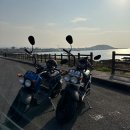 스쿠터천국