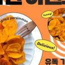 함안-4 네이버블로그