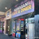 ALOHA | 하와이안 음식으로 점심 감성 한가득! The Big Big Aloha에서 로코모코, 바베큐 믹스, 오타이 먹고 왔어요.
