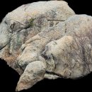 만천농장 이미지