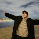 영천영화육회 이미지